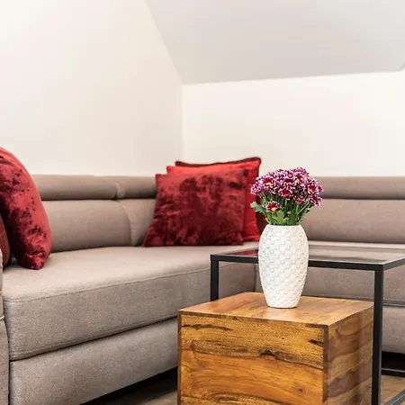 Tatrytop Grey House * ザコパネ