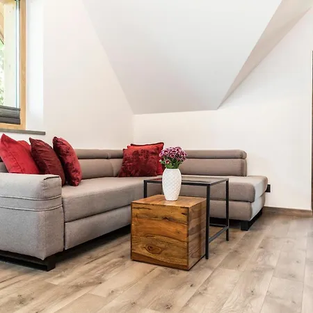 Tatrytop Grey House ザコパネ