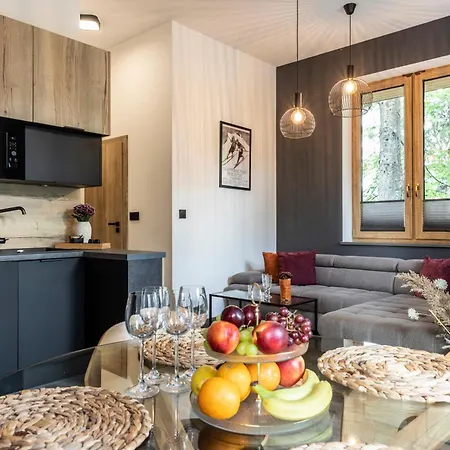 Tatrytop Grey House アパート ザコパネ