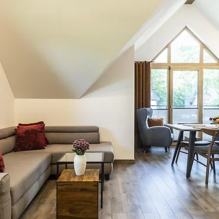 Tatrytop Grey House アパート ザコパネ